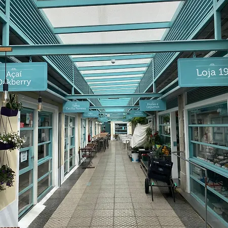 Apartman Large Foz Cool Living *